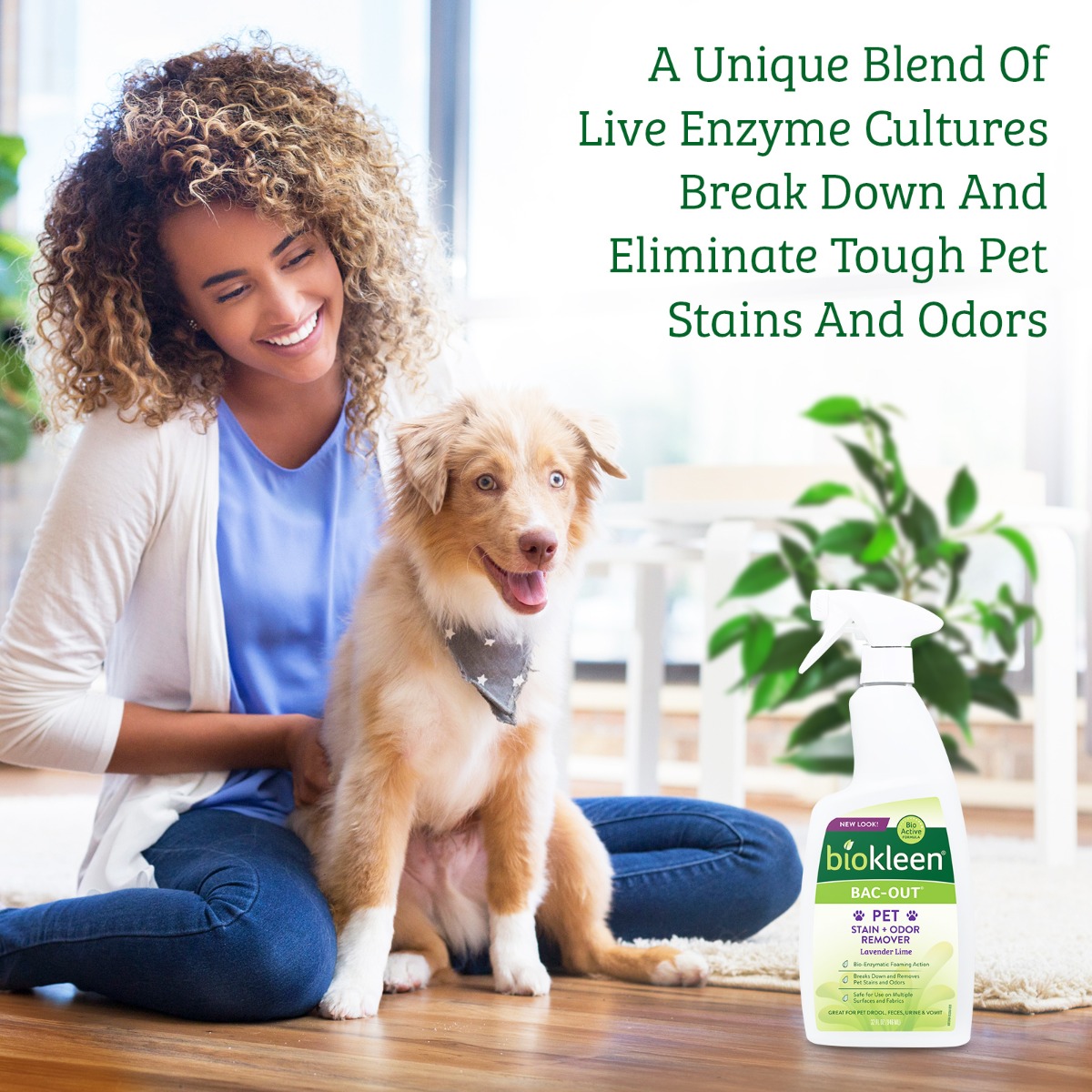 Pet urine remover outlet