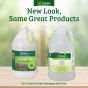 Bac-Out Pet Stain + Odor Remover