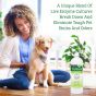 Bac-Out Pet Stain & Odor Remover - Pour