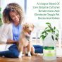 Bac-Out Pet Stain + Odor Remover