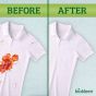 Bac-Out Stain + Odor Remover - 16 Fl Oz