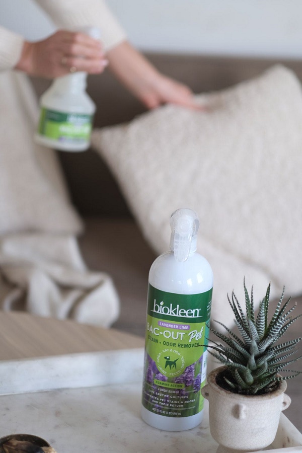 Biokleen Bac-Out Stain + Odor Remover for Your Safe, Natural Home