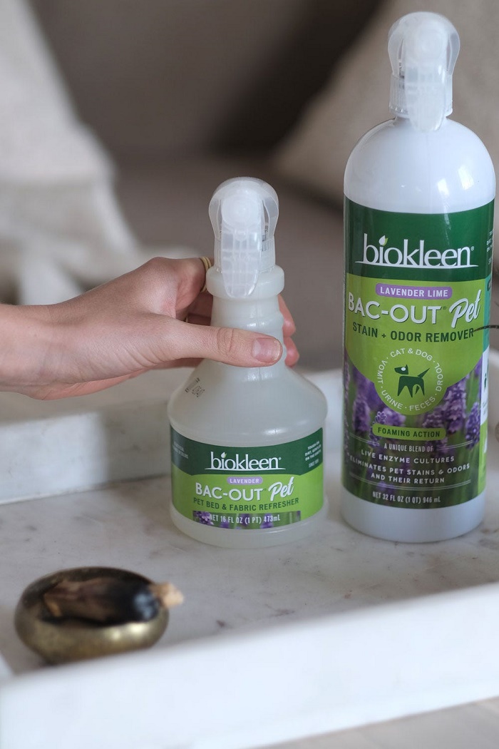 Biokleen Bac-Out Stain and Odor Remover